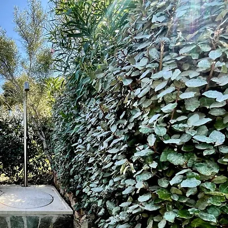 House Boat Medium By Interhome